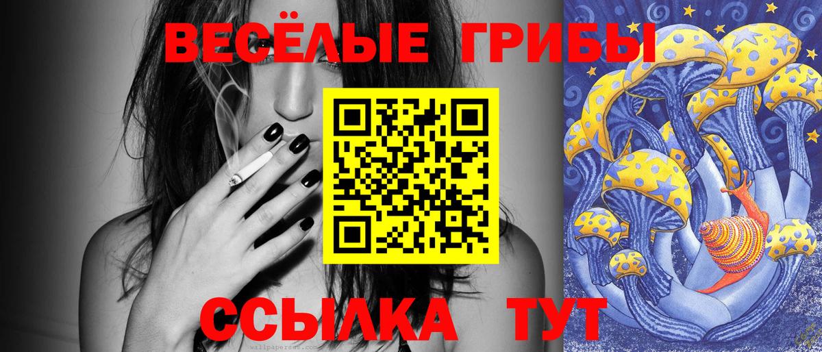 Псилоцибиновые грибы мухоморы Камышлов