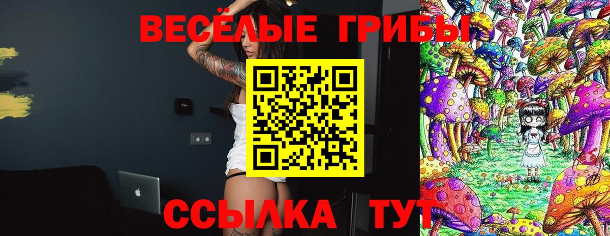 Псилоцибиновые грибы мицелий  Вход с VPN  Камышлов 